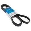 Courroie trapézoïdale à nervures DAYCO 6PK2250 - Visuel 1
