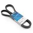 Courroie trapézoïdale à nervures DAYCO 6PK2280 - Visuel 1