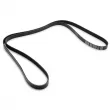 Courroie trapézoïdale à nervures DAYCO 6PK2280 - Visuel 2