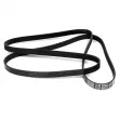 Courroie trapézoïdale à nervures DAYCO 6PK2315 - Visuel 2