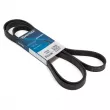 Courroie trapézoïdale à nervures DAYCO 6PK2490 - Visuel 1