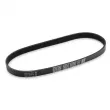 Courroie trapézoïdale à nervures DAYCO 6PK803K - Visuel 2