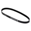 Courroie trapézoïdale à nervures DAYCO 6PK900 - Visuel 2