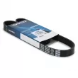 Courroie trapézoïdale à nervures DAYCO 6PK996 - Visuel 1