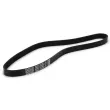 Courroie trapézoïdale à nervures DAYCO 6PK996 - Visuel 2