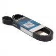 Courroie trapézoïdale à nervures DAYCO 7PK1853 - Visuel 1