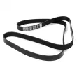 Courroie trapézoïdale à nervures DAYCO 7PK1853 - Visuel 2