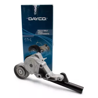Tendeur de courroie, courroie trapézoïdale à nervures DAYCO APV2244