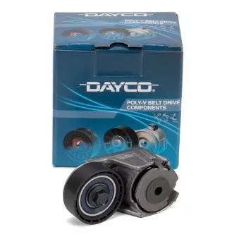 Tendeur de courroie, courroie trapézoïdale à nervures DAYCO APV2494