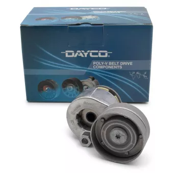 Tendeur de courroie, courroie trapézoïdale à nervures DAYCO APV2498