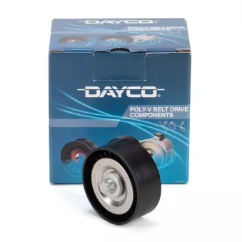 Poulie renvoi/transmission, courroie trapézoïdale à nervures DAYCO APV2829