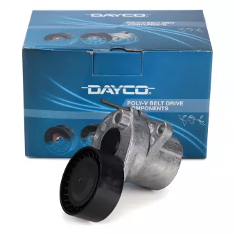 Tendeur de courroie, courroie trapézoïdale à nervures DAYCO APV2982