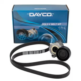 Jeu de courroies trapézoïdales à nervures DAYCO