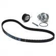 Pompe à eau + kit de courroie de distribution DAYCO KTBWP3361 - Visuel 2