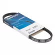 Courroie trapézoïdale à nervures DAYCO 3PK576EE - Visuel 1