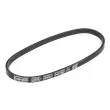 Courroie trapézoïdale à nervures DAYCO 3PK576EE - Visuel 2