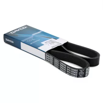 Courroie trapézoïdale à nervures DAYCO 6PK1029EE