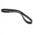 Courroie trapézoïdale à nervures DAYCO 6PK1030EE - Visuel 2