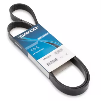 Courroie trapézoïdale à nervures DAYCO 6PK1407S