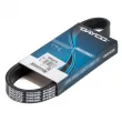 Courroie trapézoïdale à nervures DAYCO 6PK987S - Visuel 1