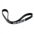 Courroie trapézoïdale à nervures DAYCO 6PK987S - Visuel 2
