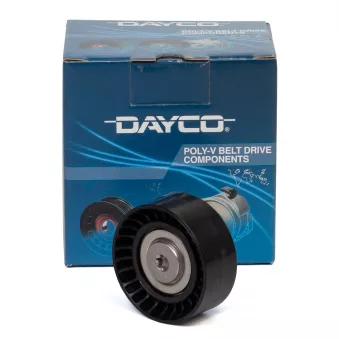 Poulie renvoi/transmission, courroie trapézoïdale à nervures DAYCO APV3801