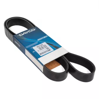 Courroie trapézoïdale à nervures DAYCO 8PK1390