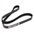 Courroie trapézoïdale à nervures DAYCO 8PK1390 - Visuel 2