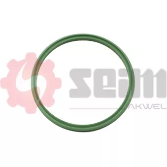 Gaine de suralimentation SEIM 981968