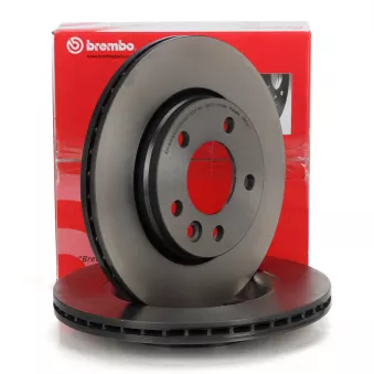 Jeu de 2 disques de frein arrière BREMBO 09.9582.11