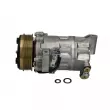 Compresseur, climatisation BOSCH 1 986 AD1 106 - Visuel 1