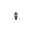 Régulateur, quantité de carburant (système à rampe commune) BOSCH 1 462 C00 984 - Visuel 1