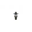Régulateur, quantité de carburant (système à rampe commune) BOSCH 1 462 C00 997 - Visuel 1