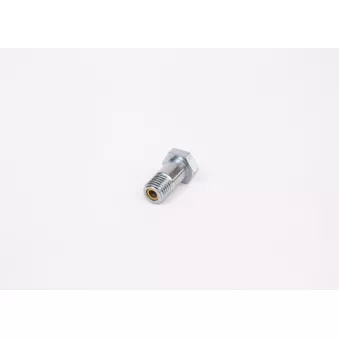 Boulon BOSCH 1 463 456 344