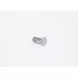 Boulon BOSCH 1 463 456 344 - Visuel 2
