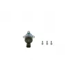 Régulateur, quantité de carburant (système à rampe commune) BOSCH 1 465 ZS0 080 - Visuel 1