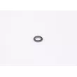 Bague d'étanchéité BOSCH 1 900 210 105 - Visuel 1
