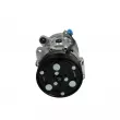 Compresseur, climatisation BOSCH 1 986 AD1 033 - Visuel 2