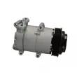 Compresseur, climatisation BOSCH 1 986 AD1 079 - Visuel 1
