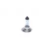 Ampoule, projecteur longue portée BOSCH 1 987 301 013 - Visuel 1