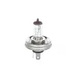 Ampoule BOSCH 1 987 301 021 - Visuel 1