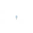 Lot de 2 Ampoules, feu de position BOSCH 1 987 301 033 - Visuel 2