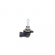 Ampoule BOSCH 1 987 301 039 - Visuel 2