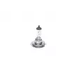 Ampoule BOSCH 1 987 301 057 - Visuel 1