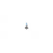 Ampoule BOSCH 1 987 301 076 - Visuel 1