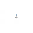 Ampoule BOSCH 1 987 301 076 - Visuel 2