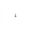 Ampoule BOSCH 1 987 301 076 - Visuel 3