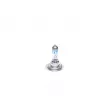 Ampoule BOSCH 1 987 301 090 - Visuel 1