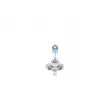 Ampoule BOSCH 1 987 301 090 - Visuel 2