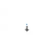 Ampoule BOSCH 1 987 301 108 - Visuel 1